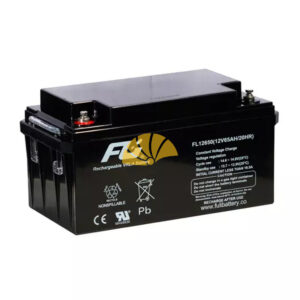 BATERÍAS FULI BATTERY 12V 65AH