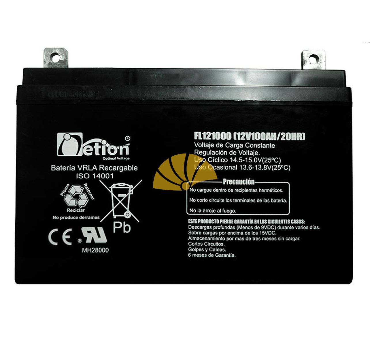 BATERÍAS NETION 12V-100AH AGM