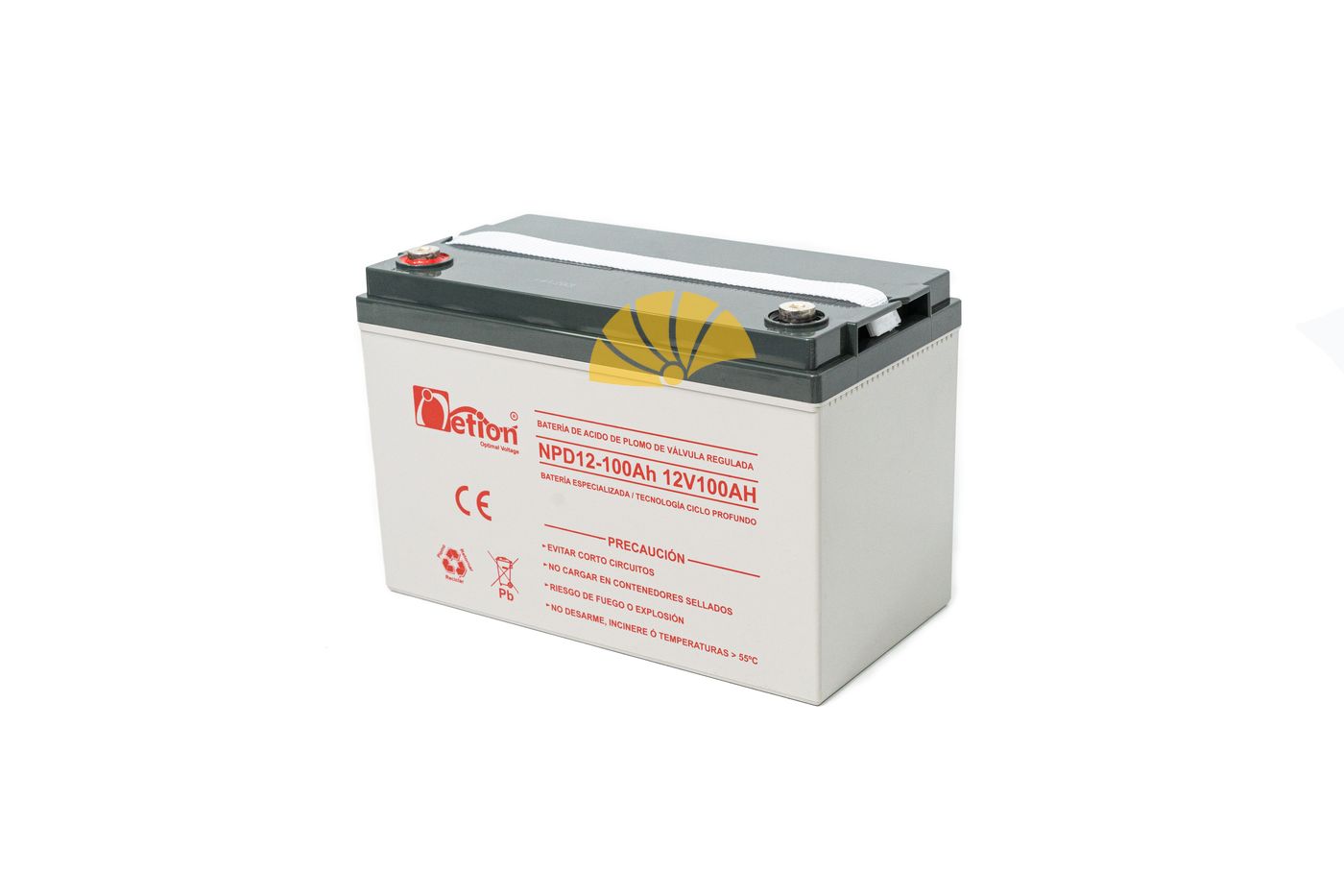 BATERÍAS NETION 12V-100AH CICLO PROFUNDO - Imagen 2