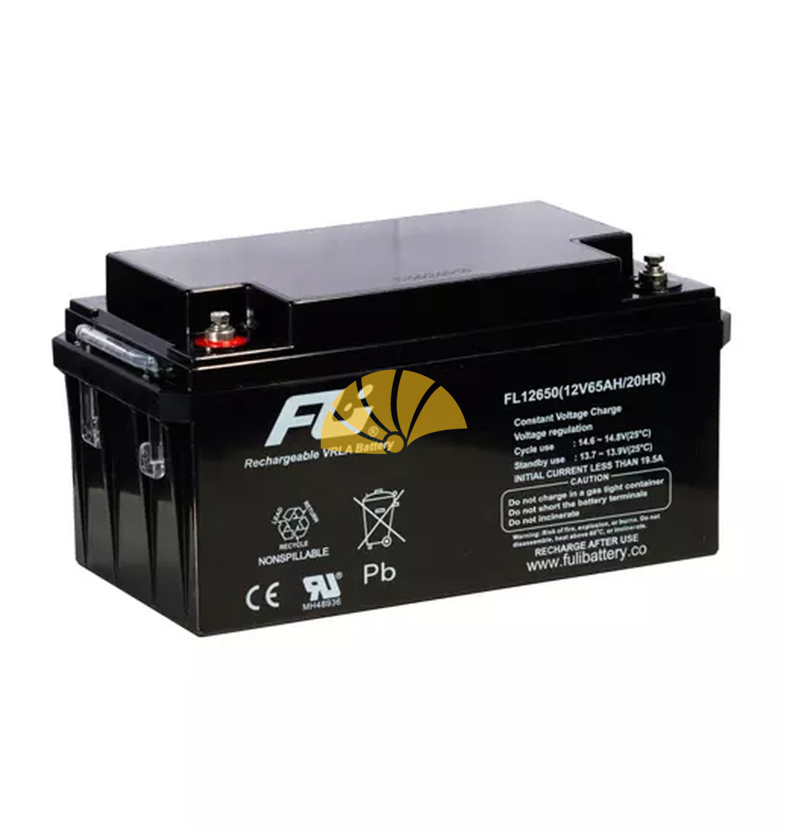 BATERÍAS FULI BATTERY 12V 65AH